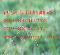 提供各小語種翻譯服務(wù) 價(jià)格、廠家與一站式解決方案